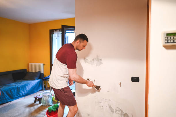  , LA Mold Removal Pros